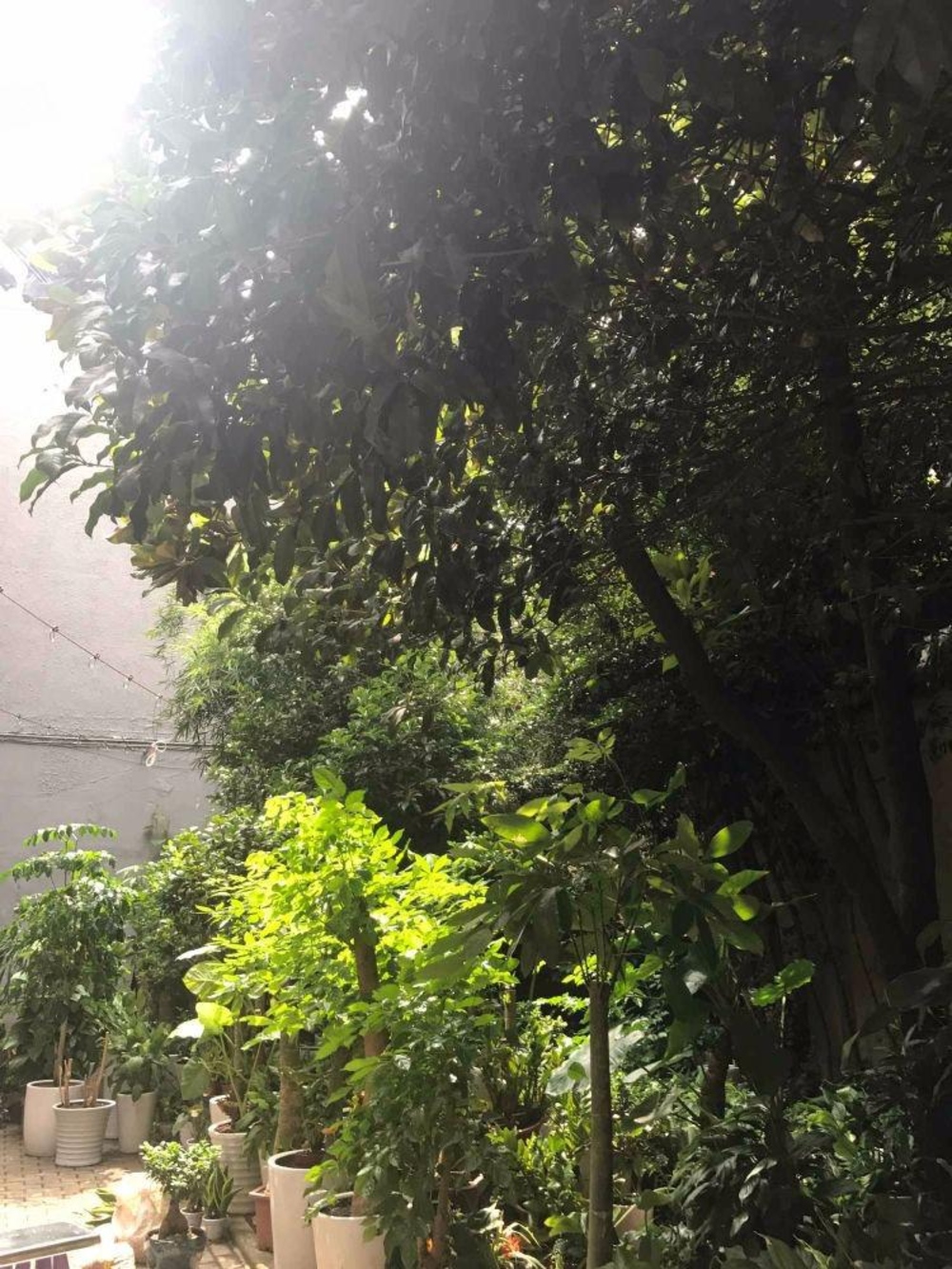 上海江宁路363弄公房二手房房源图片