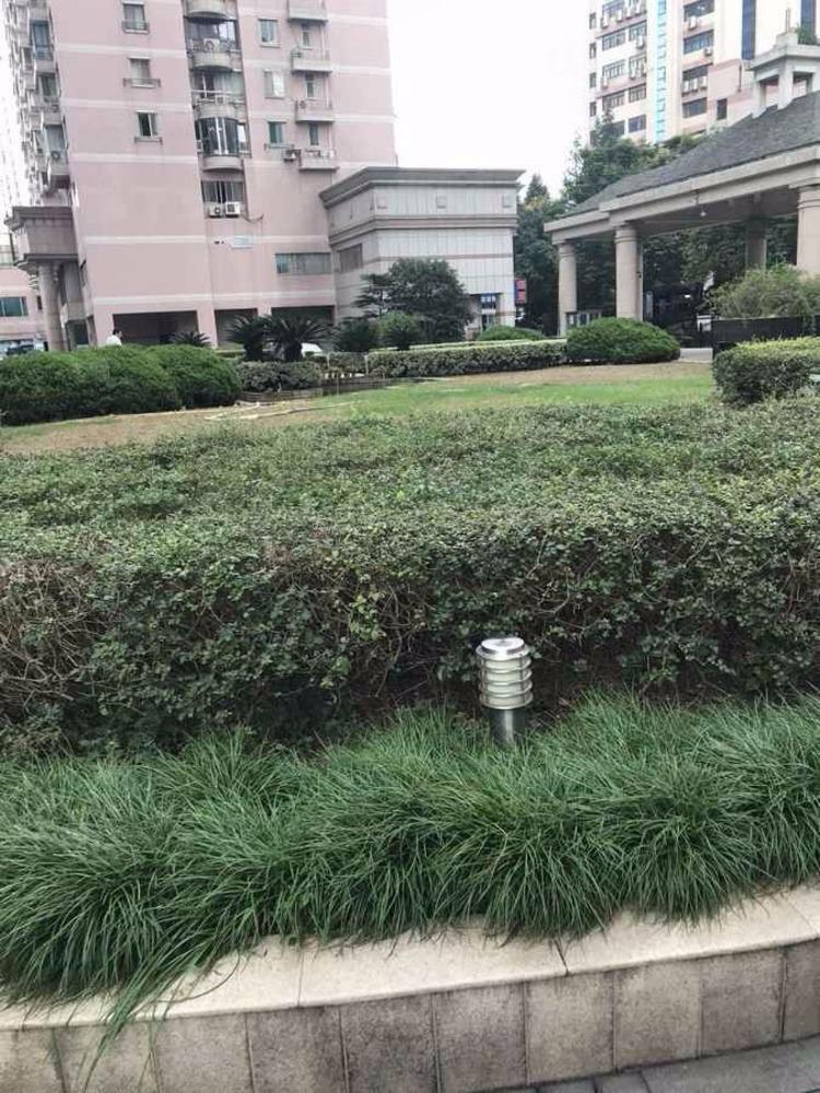上海新中苑生活大师二手房房源图片