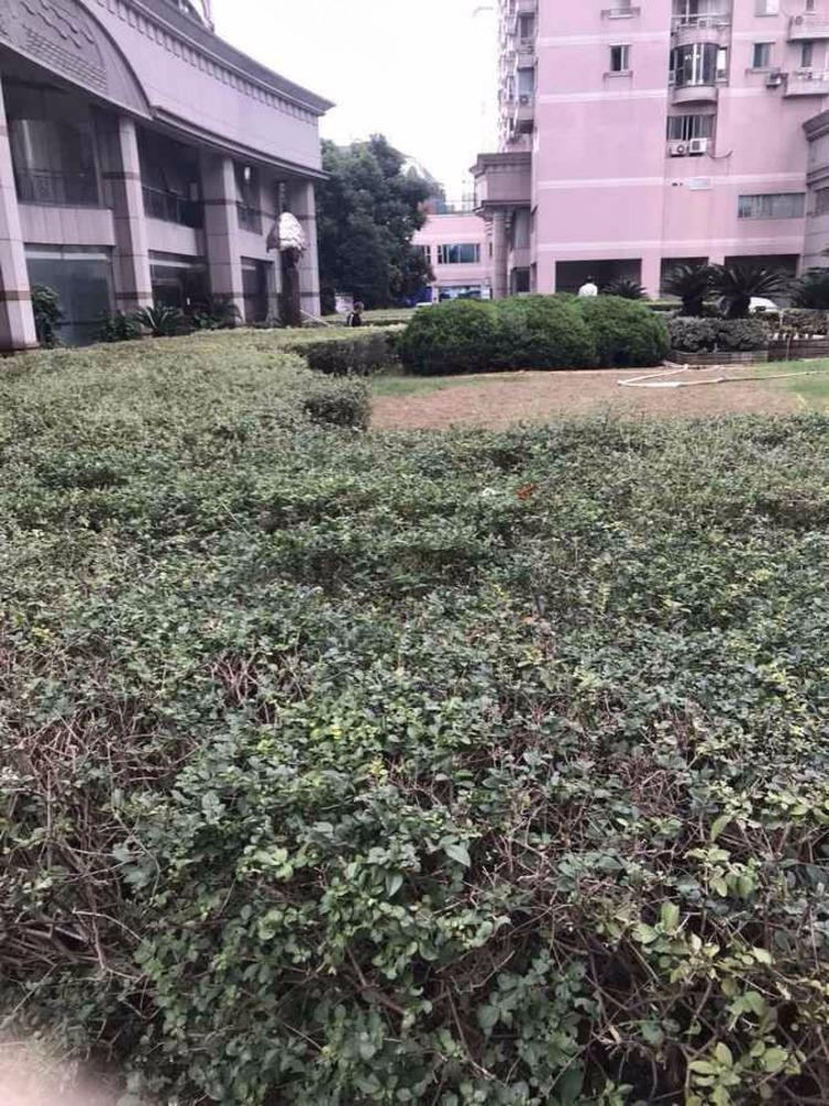 上海新中苑生活大师二手房房源图片