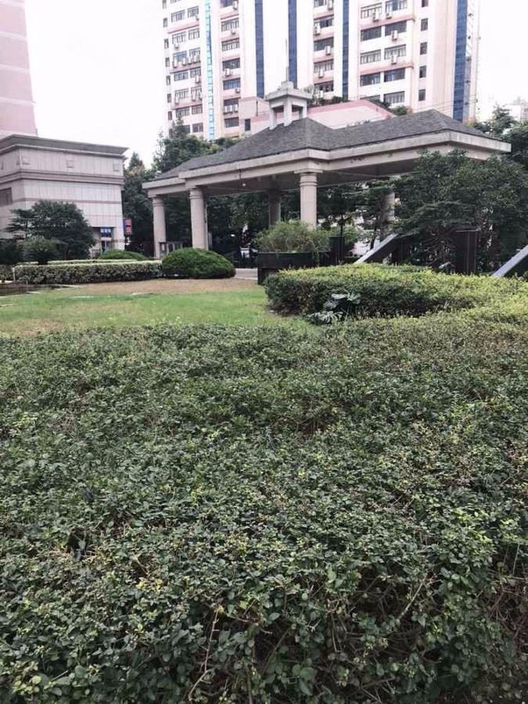 上海新中苑生活大师二手房房源图片