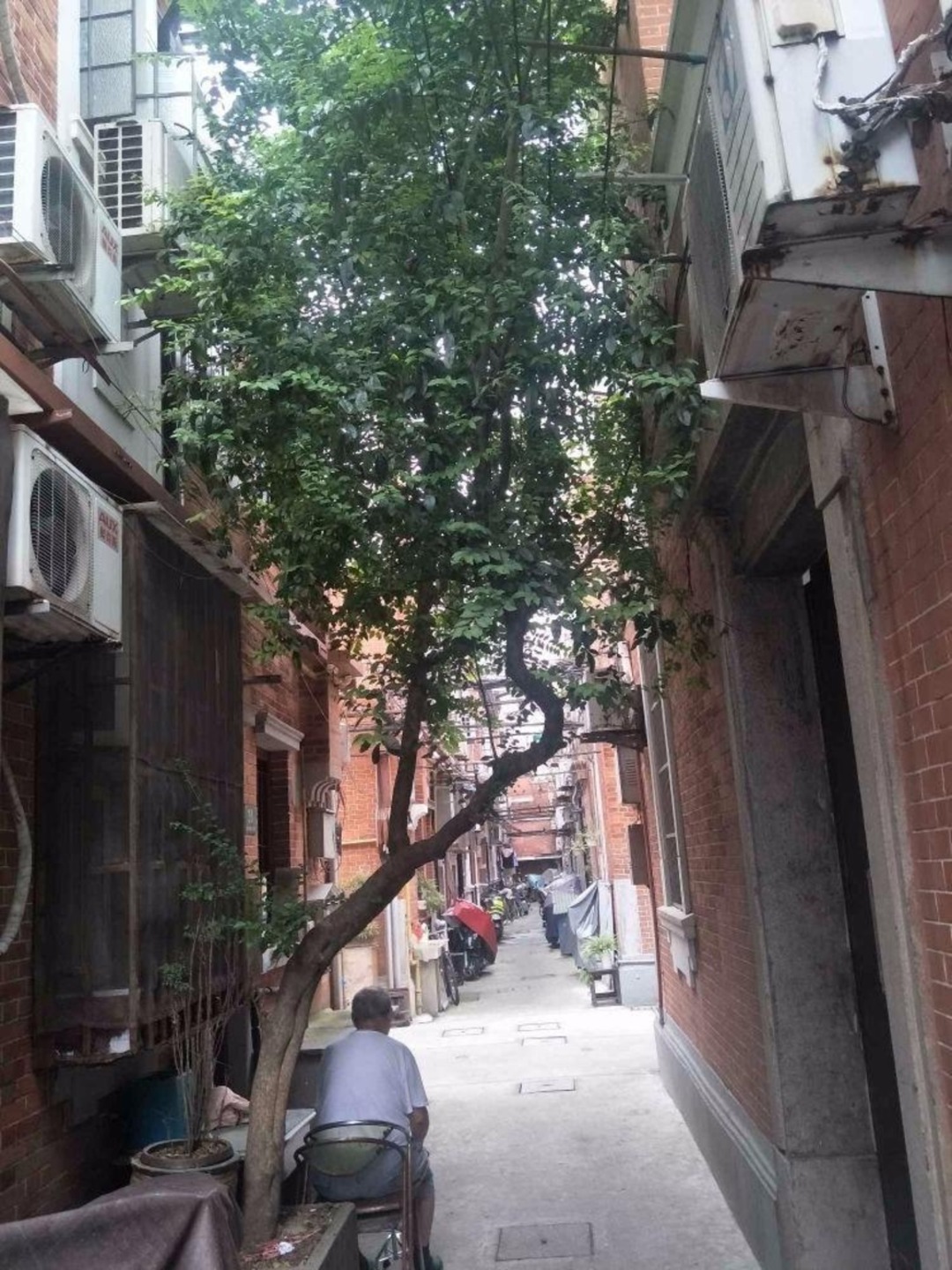 上海延安中路507弄小区二手房房源图片