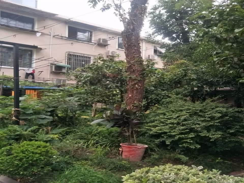 上海林邨二手房房源图片