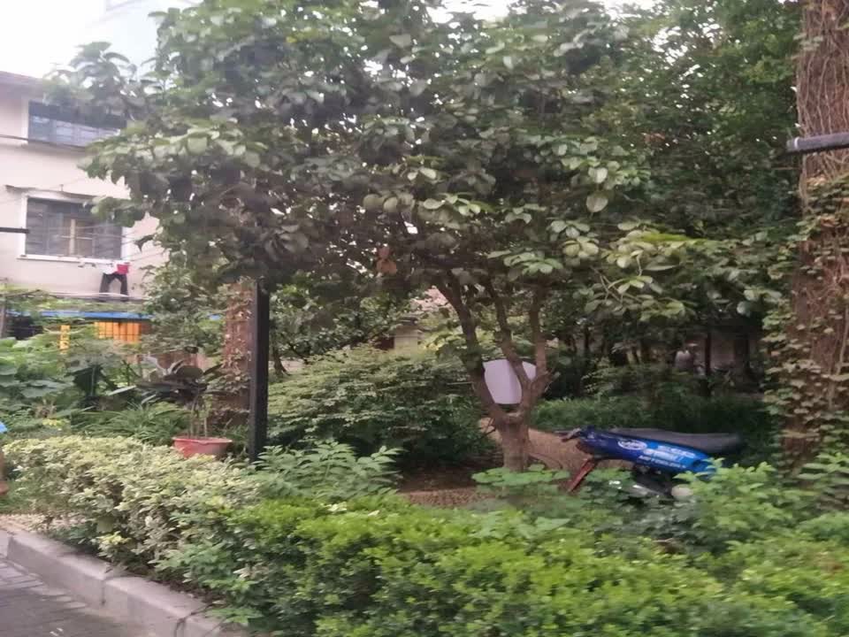 上海林邨二手房房源图片
