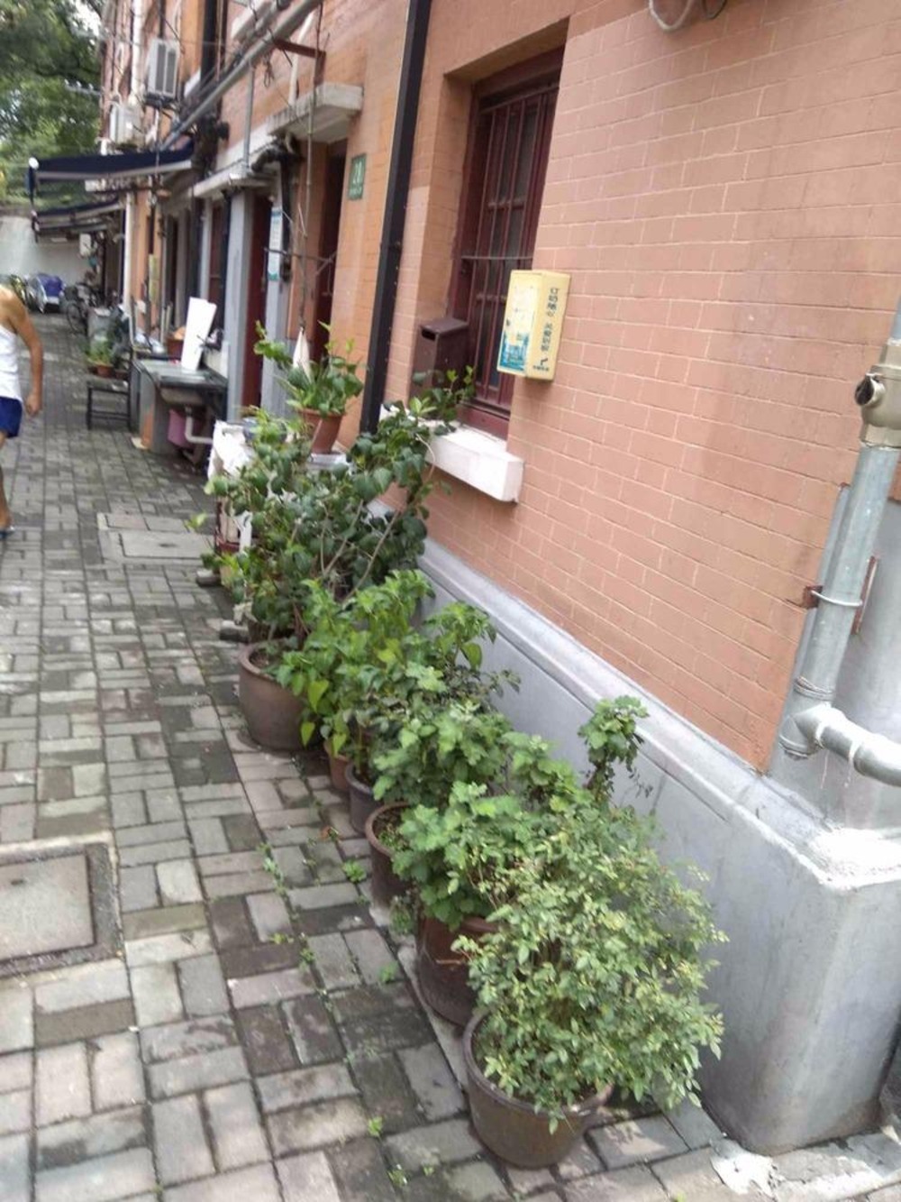 上海四明村二手房房源图片