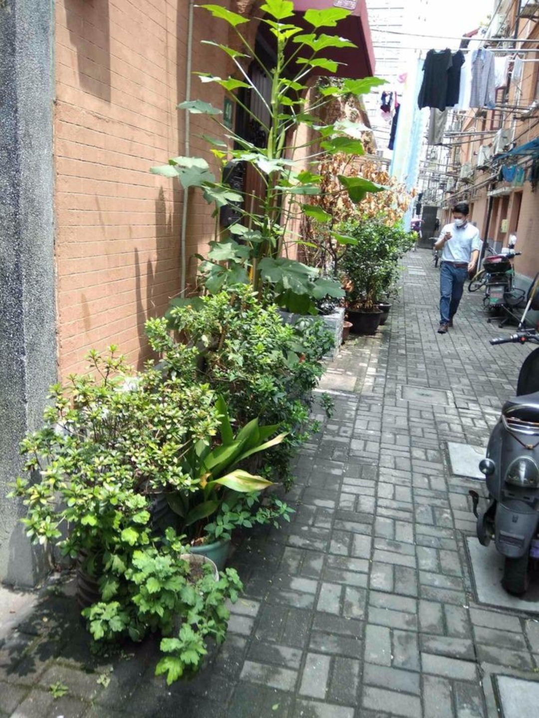上海四明村二手房房源图片
