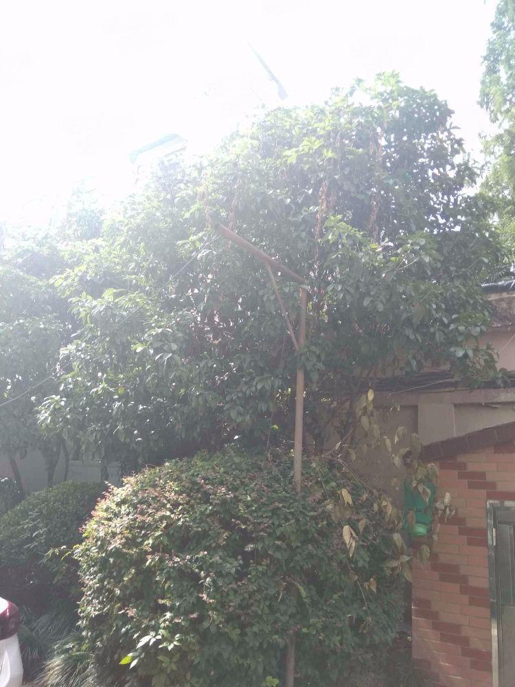 上海长乐路930弄小区二手房房源图片
