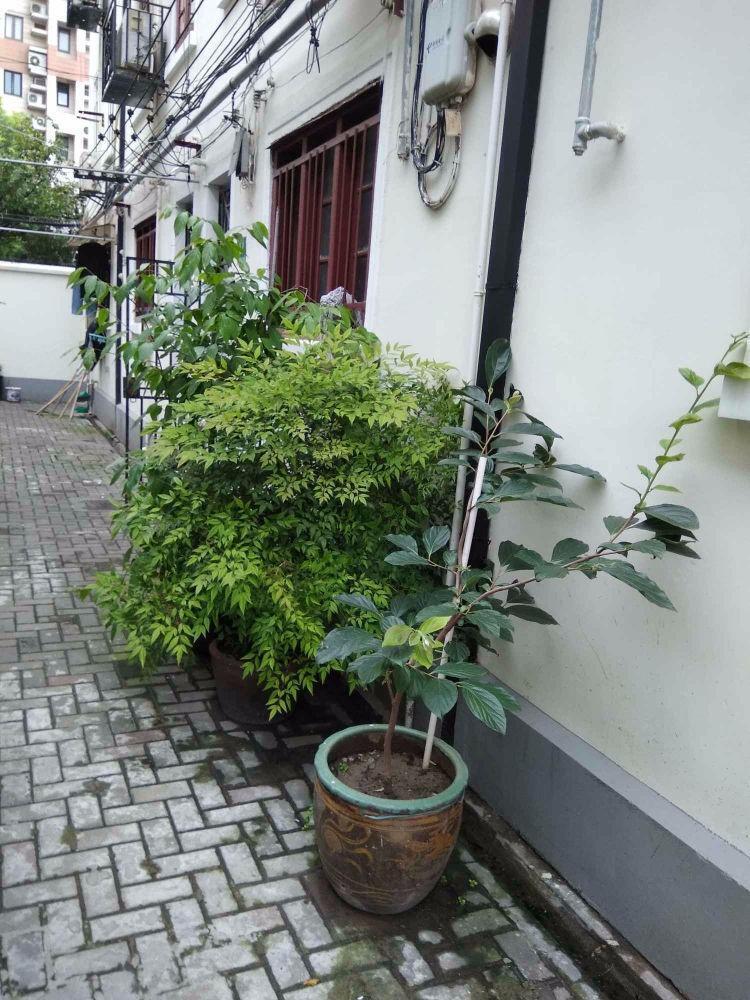 上海模范村二手房房源图片
