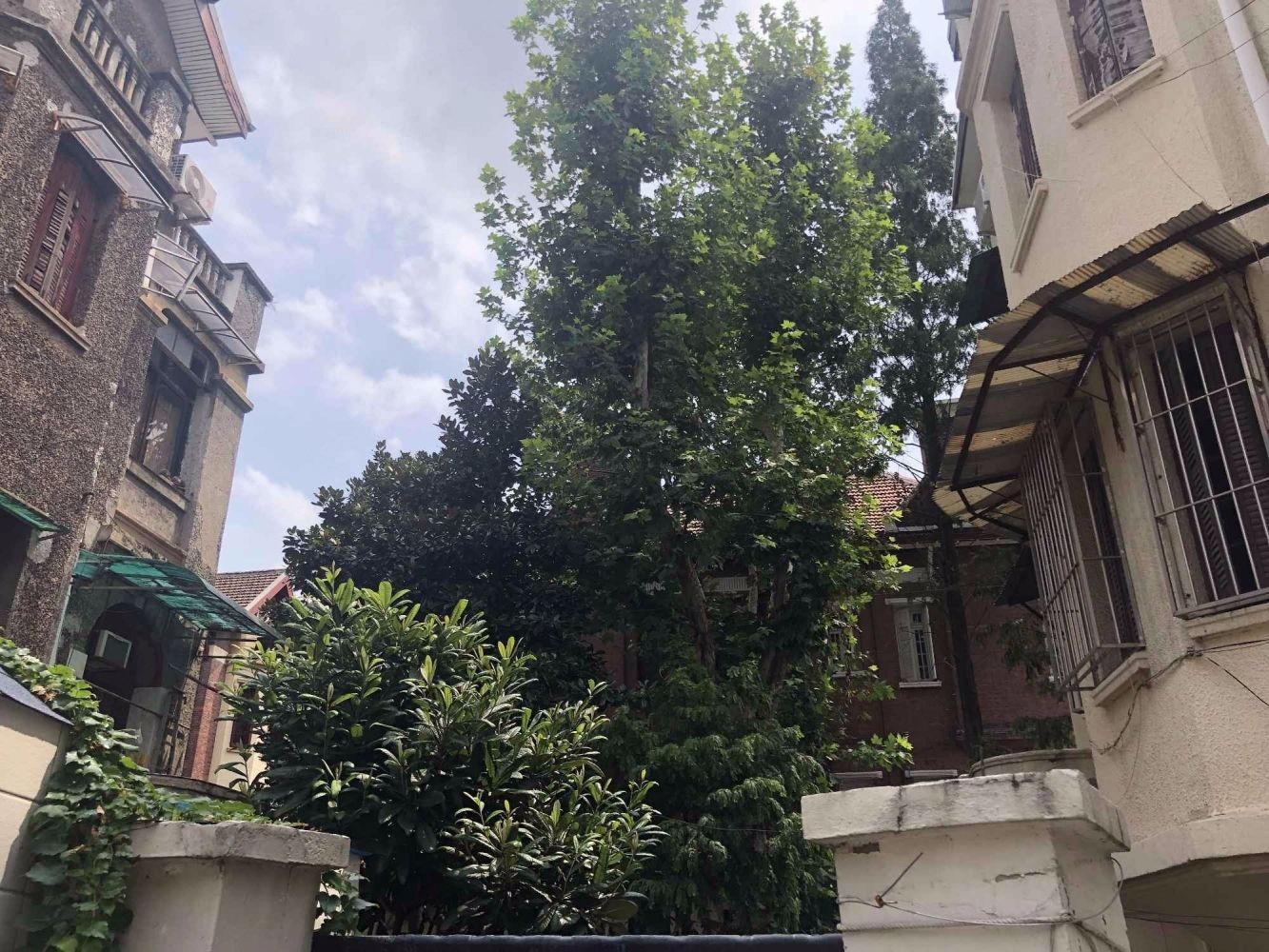 上海永丰村二手房房源图片