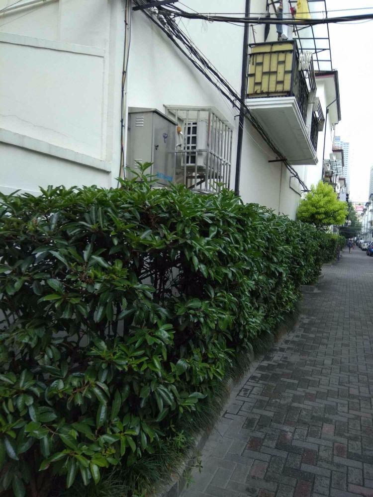 上海模范村二手房房源图片