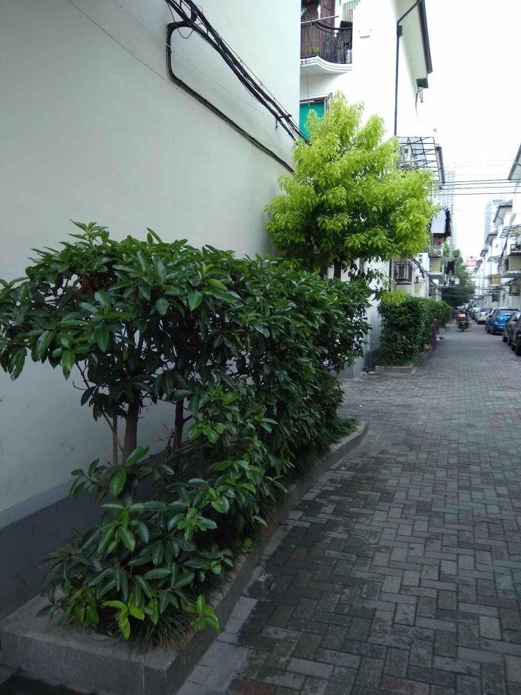 上海模范村二手房房源图片