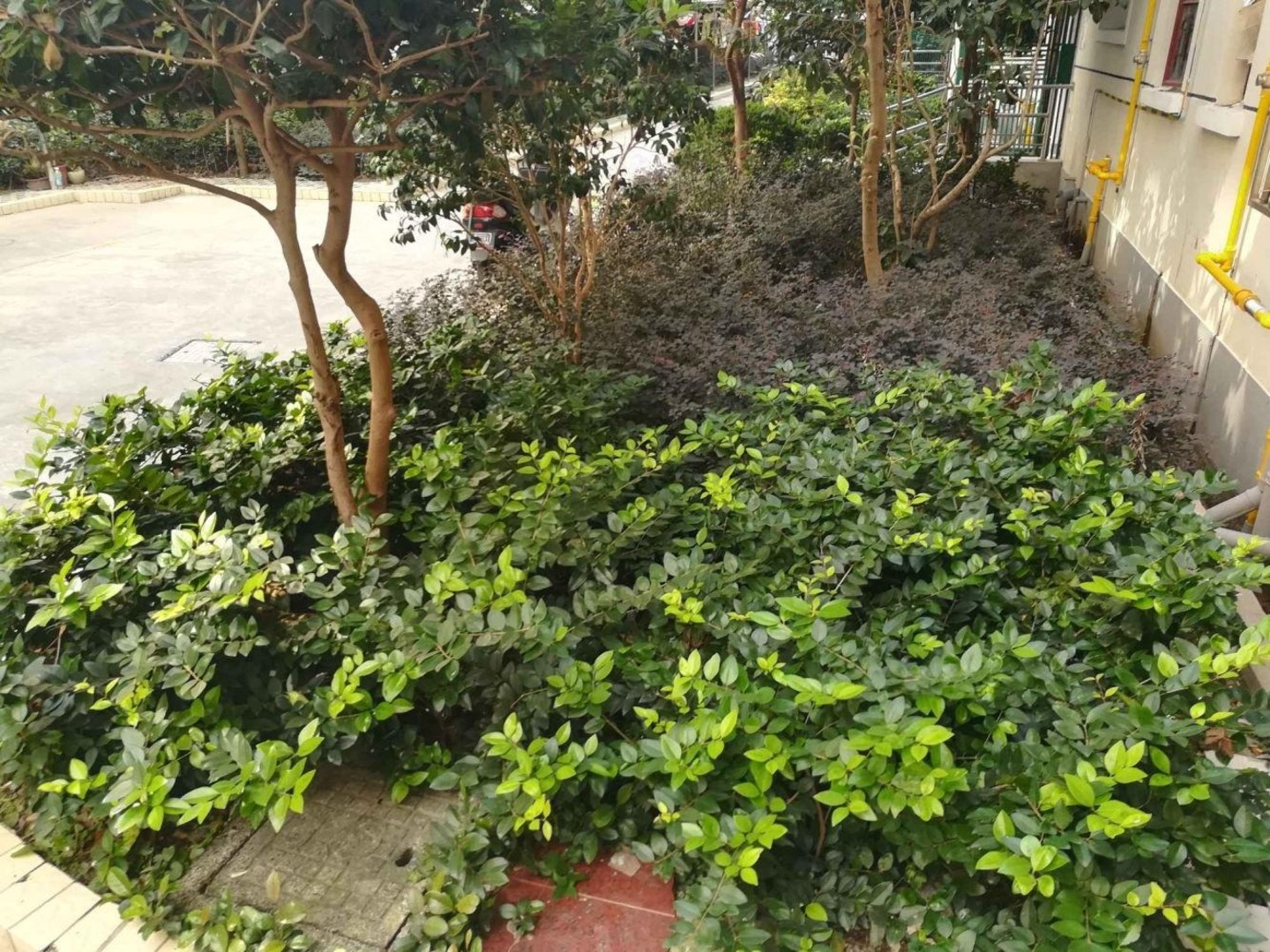 上海瞿溪路904弄小区二手房房源图片