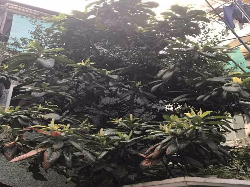 上海陕西北路587弄小区二手房房源图片