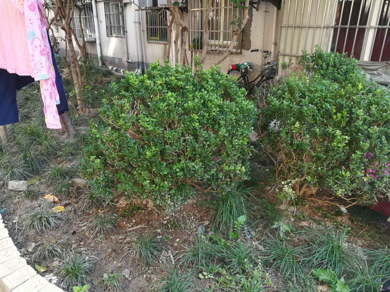 上海斜土路330弄小区二手房房源图片