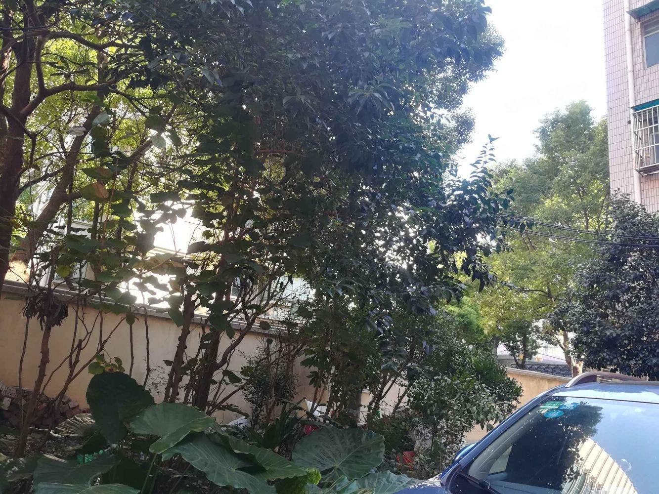 上海海乾公寓二手房房源图片