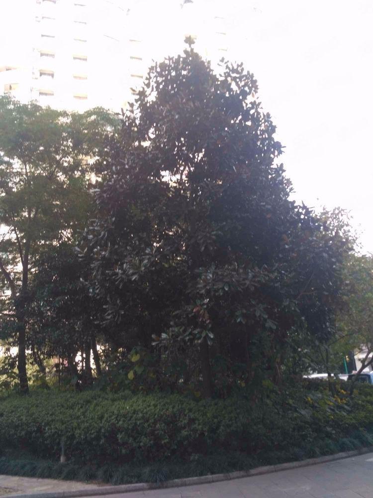 上海金日世家二手房房源图片