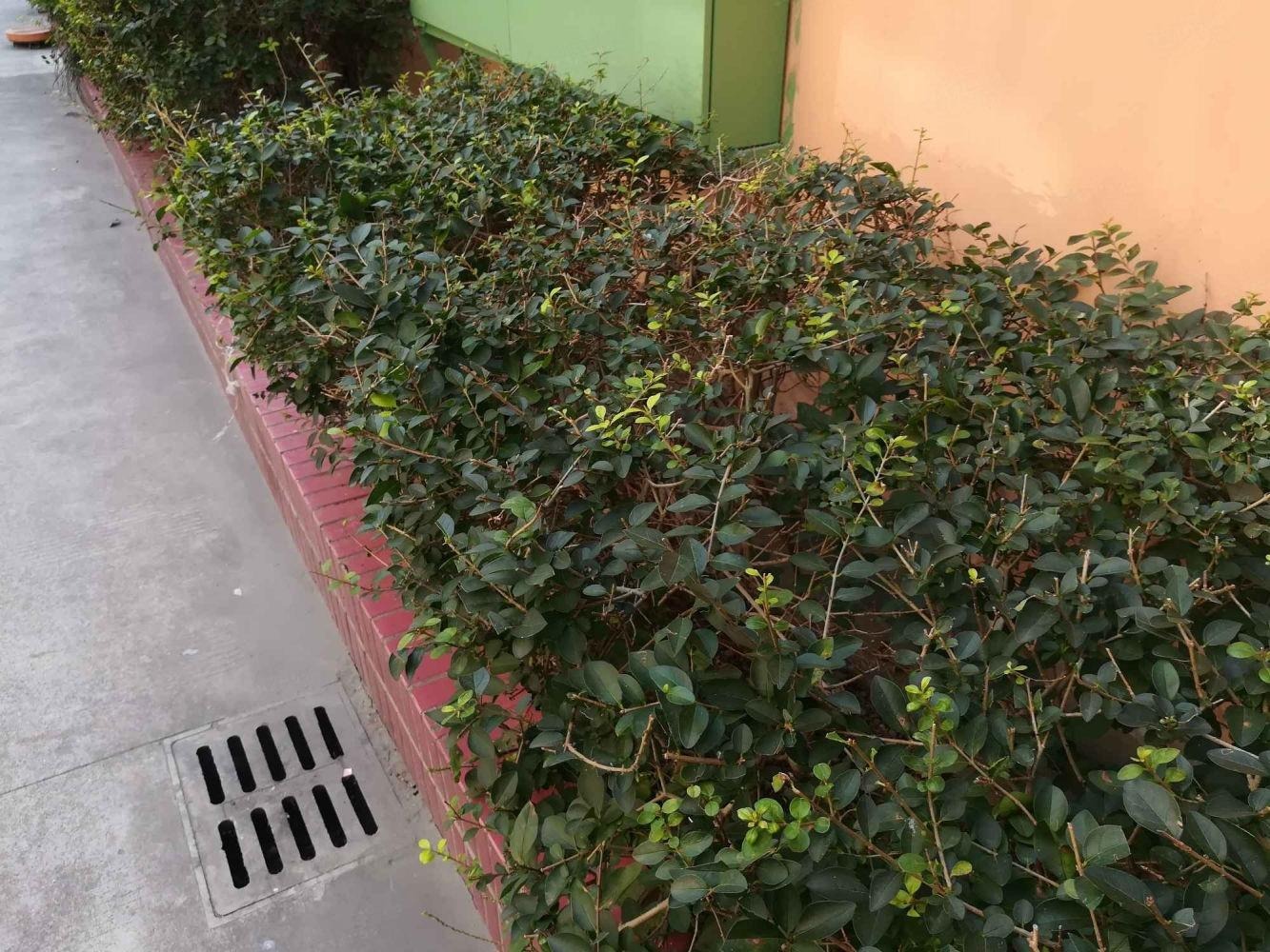 上海蒙自路601弄小区二手房房源图片