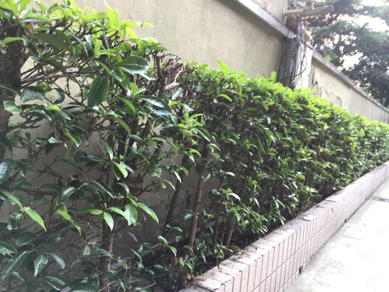 上海瑞金二路200弄小区二手房房源图片