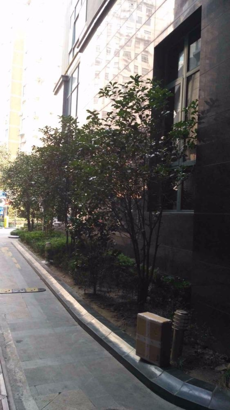 上海黄浦逸城二手房房源图片