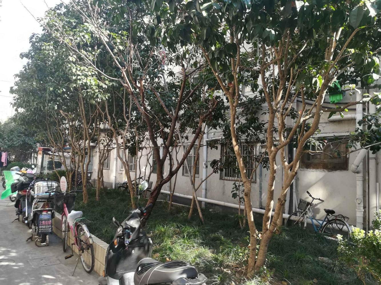 上海斜土路330弄小区二手房房源图片