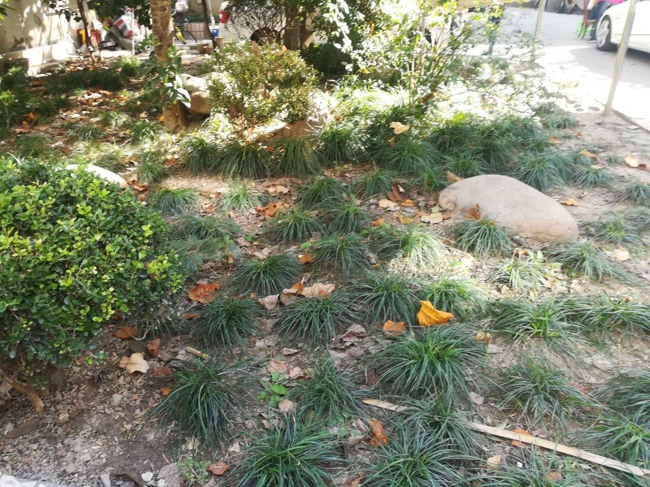 上海斜土路330弄小区二手房房源图片