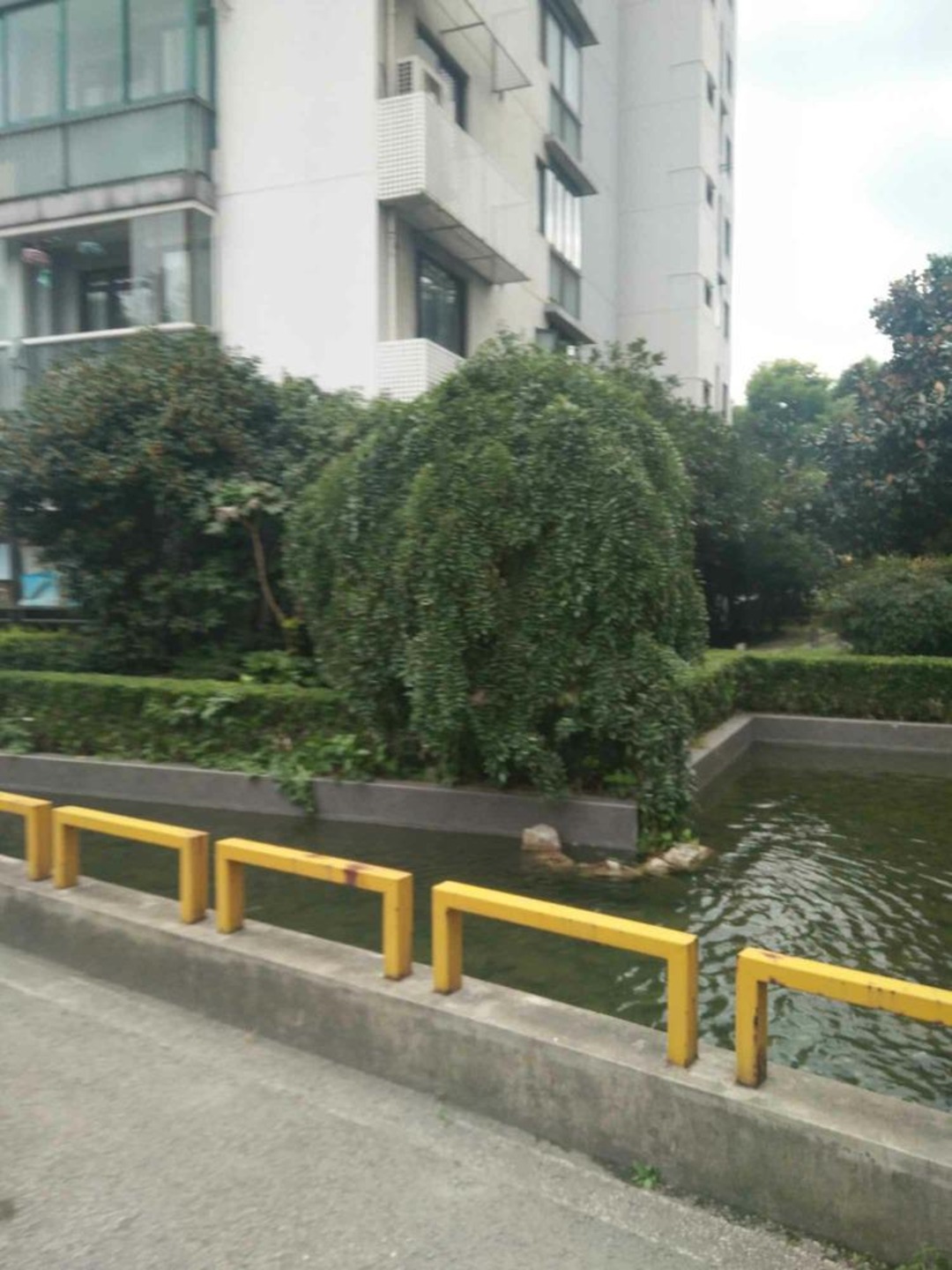 上海上海星港二手房房源图片