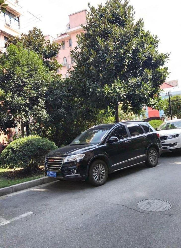 上海新泾七村二手房房源图片