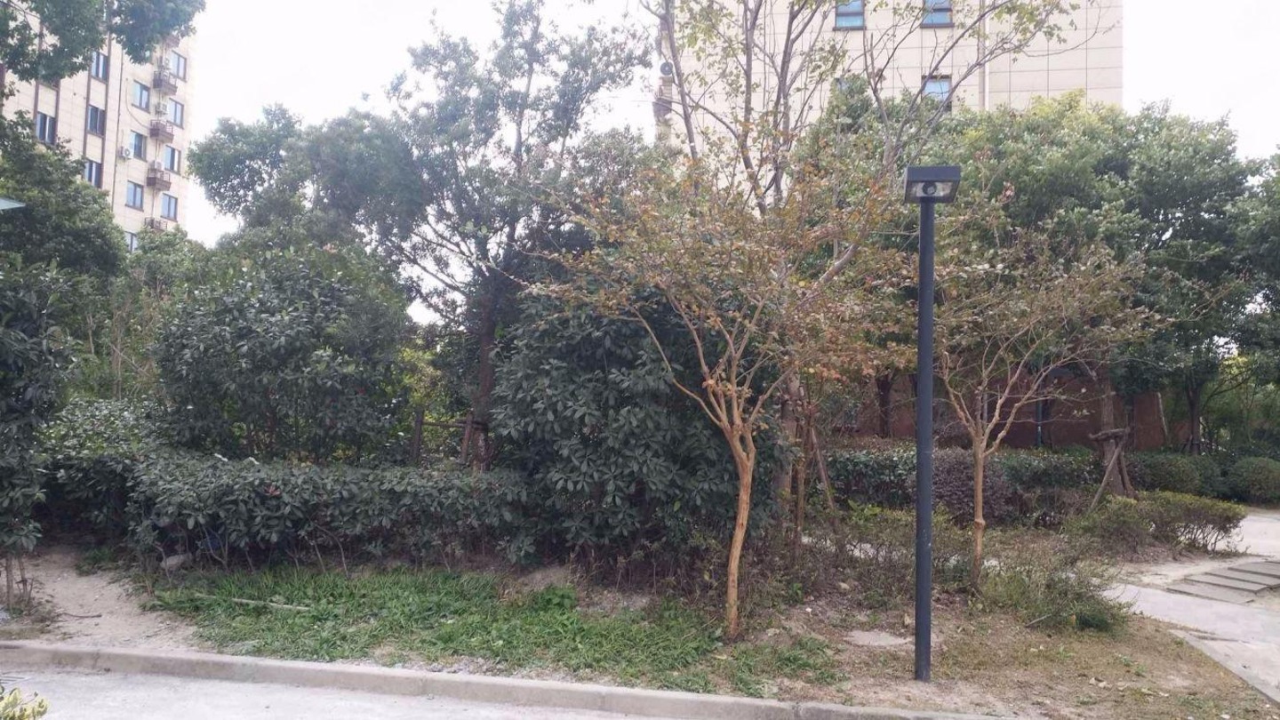 上海华欣苑别墅二手房房源图片