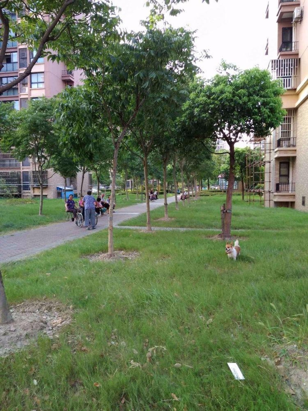 上海心圆西苑二手房房源图片