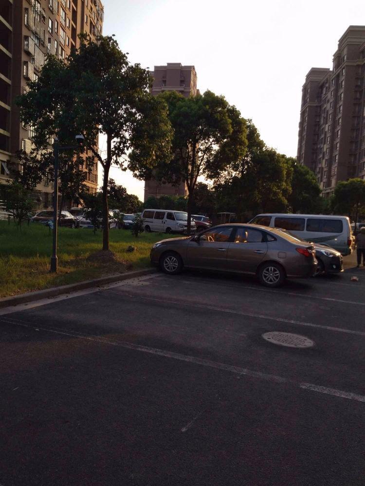 上海心圆西苑二手房房源图片