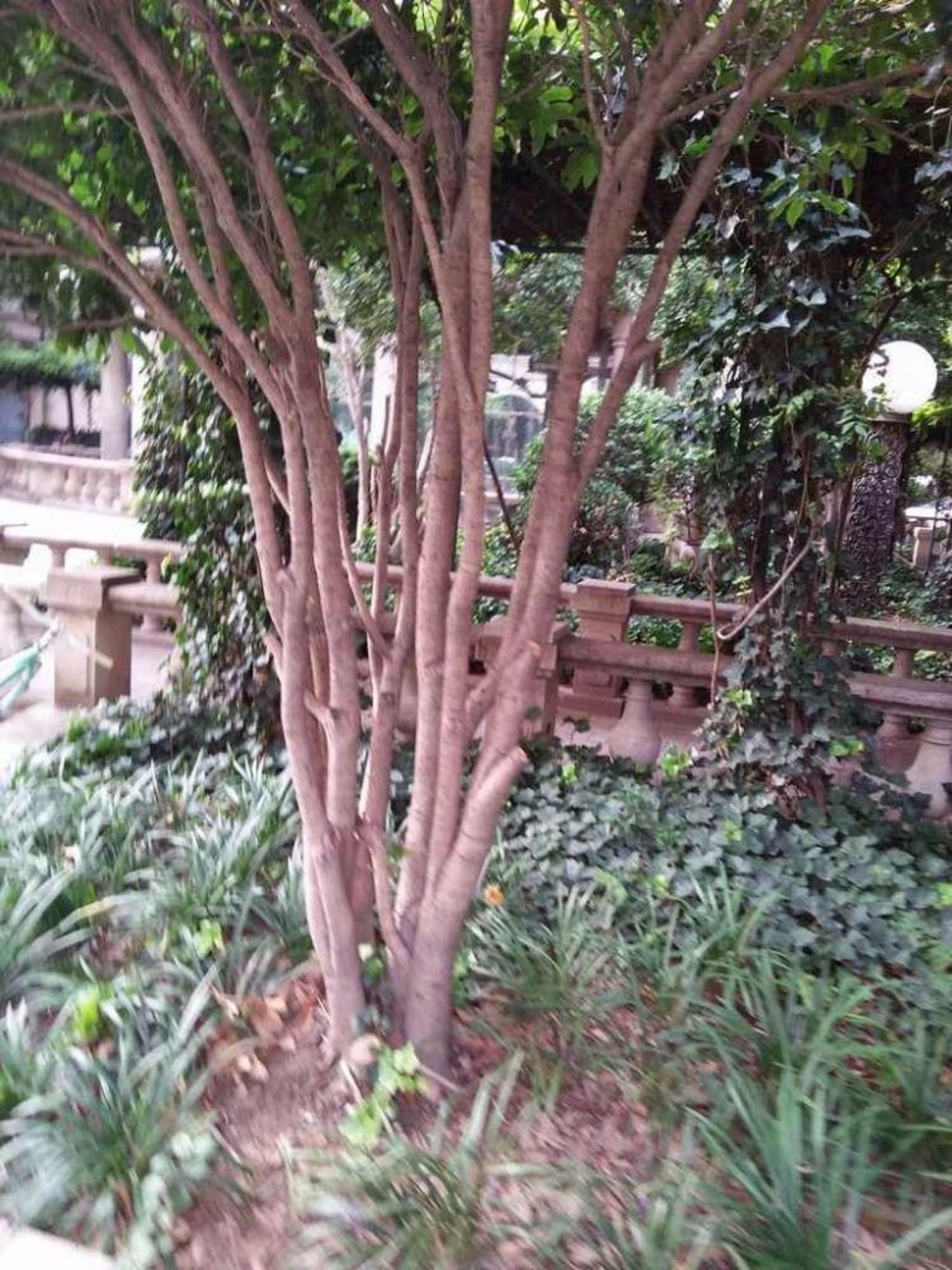 上海李子园一村二手房房源图片