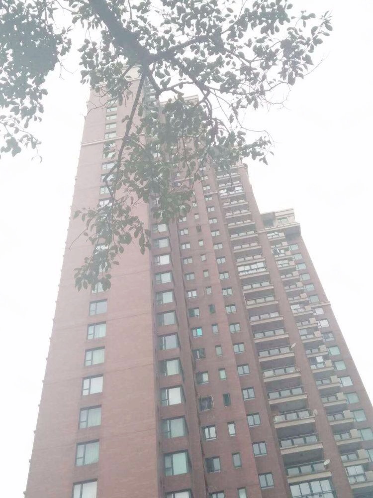 上海东方剑桥御庭苑二手房房源图片