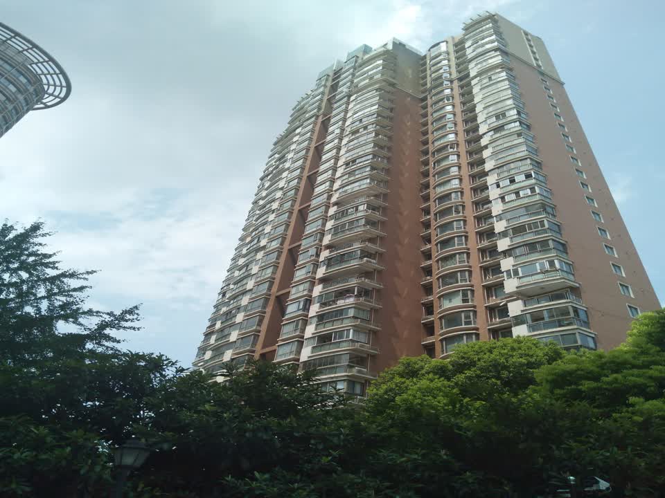 上海华盛大公馆二手房房源图片