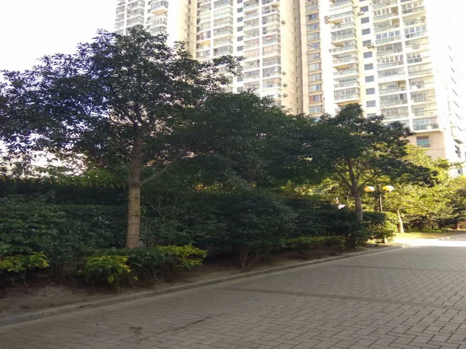 上海金色家园二手房房源图片