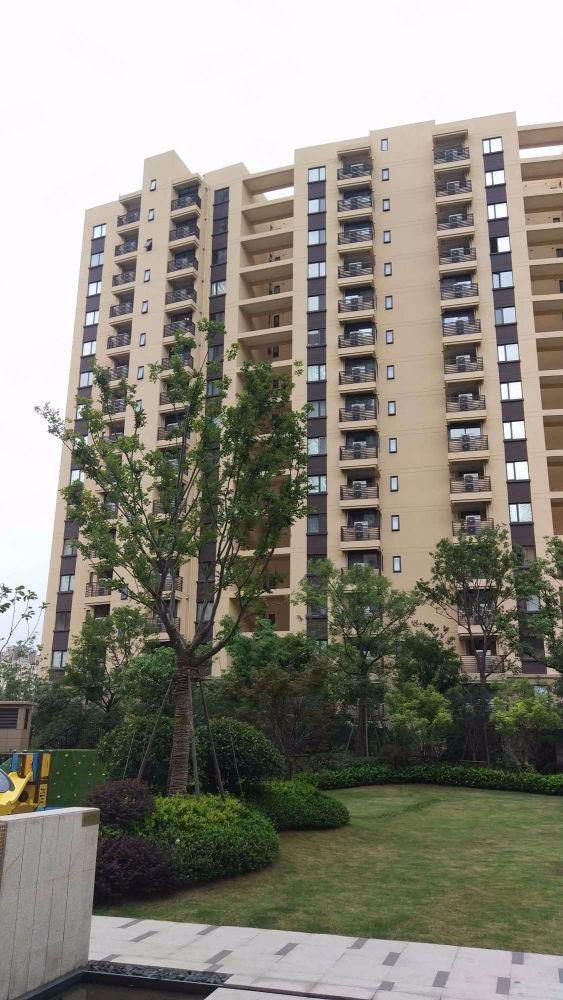 上海光明D9空间二手房房源图片