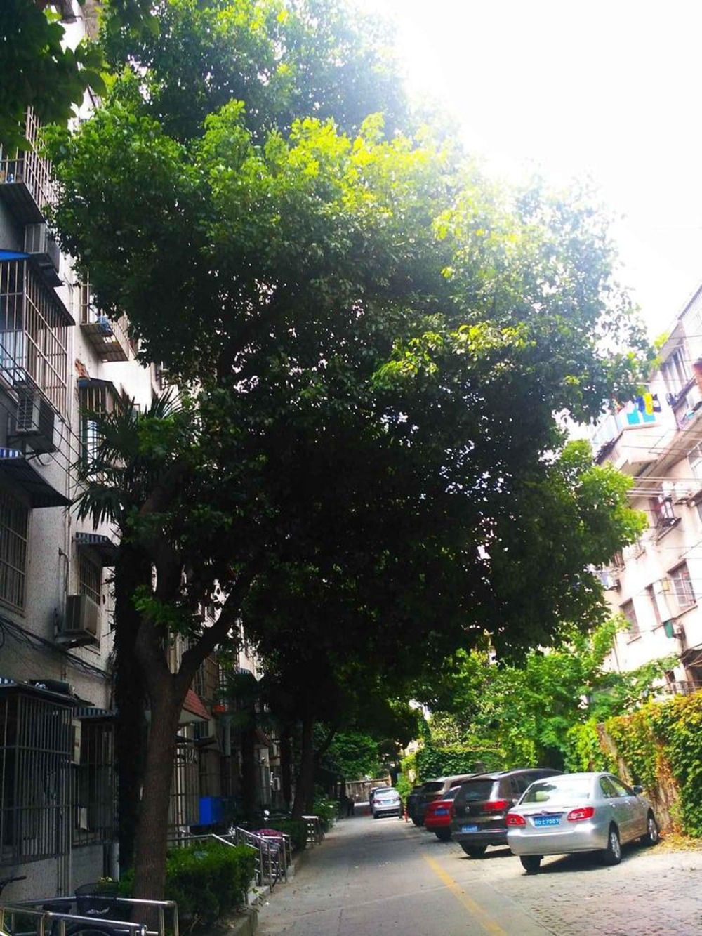 上海桃园新村(嘉定)二手房房源图片