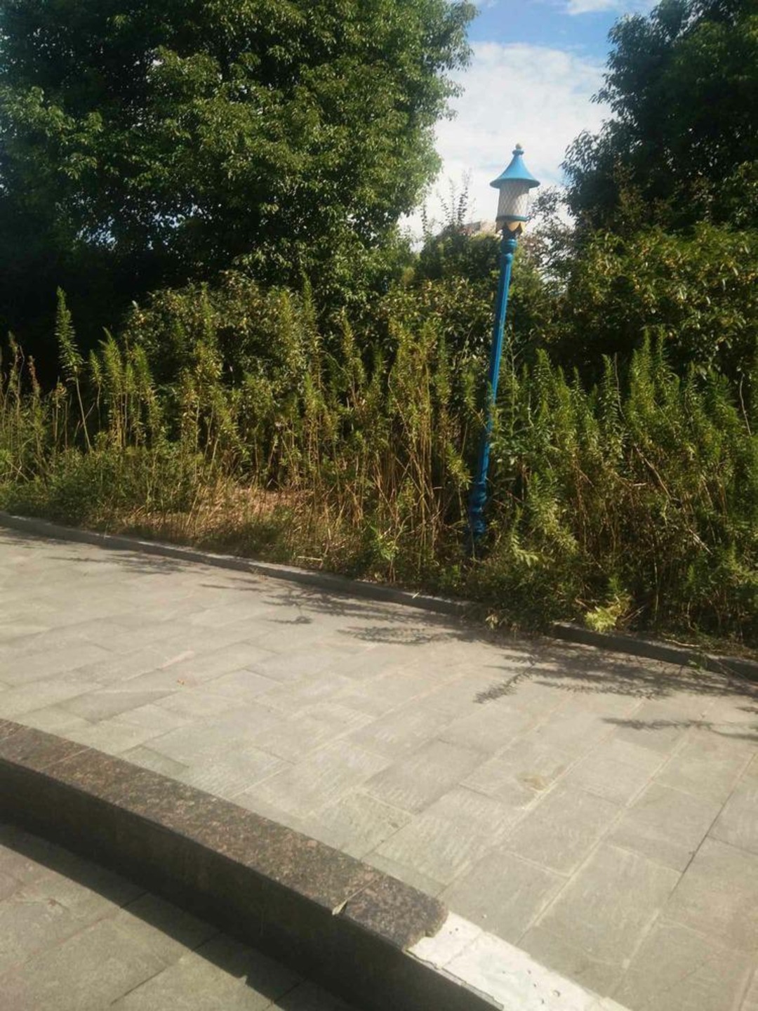 上海汇尊国际二手房房源图片