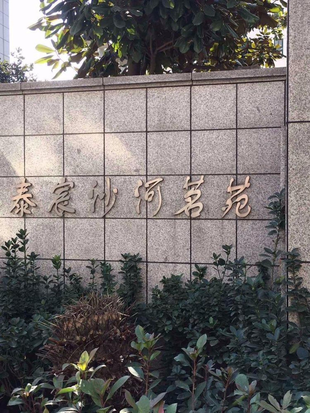 上海泰宸沙河茗苑二手房房源图片