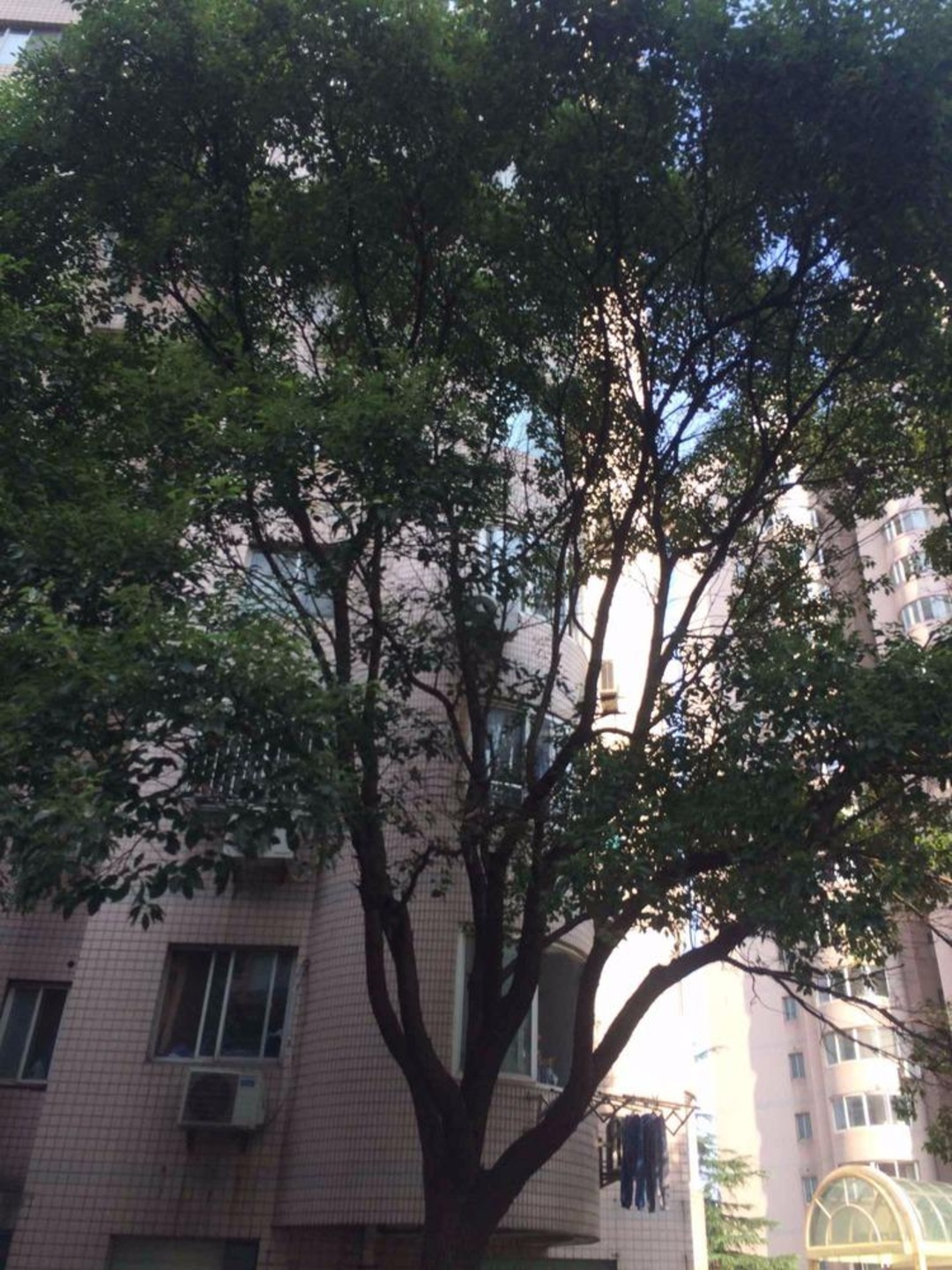 上海金桥酒店公寓二手房房源图片