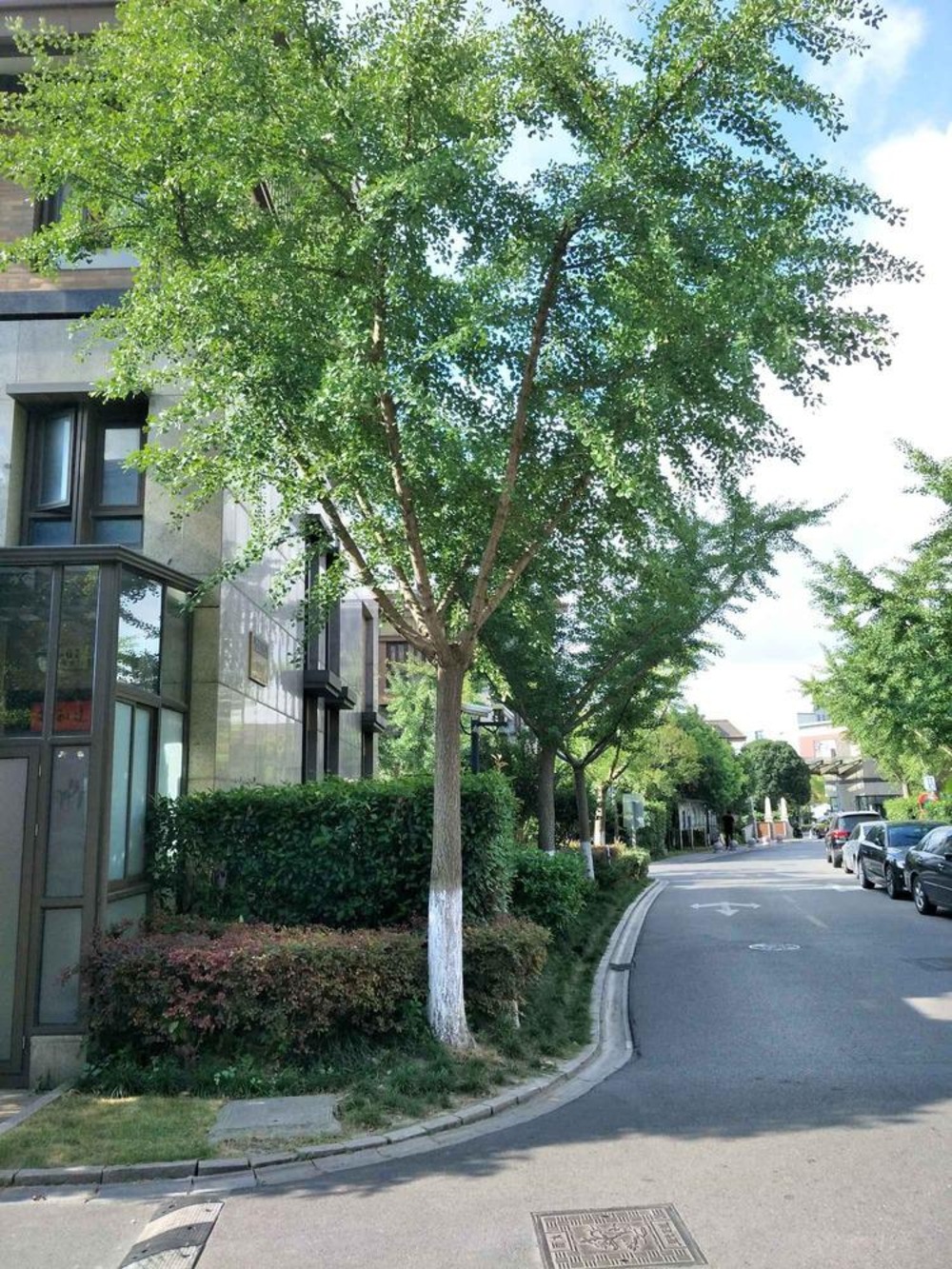 上海阳光花城(公寓住宅)二手房房源图片