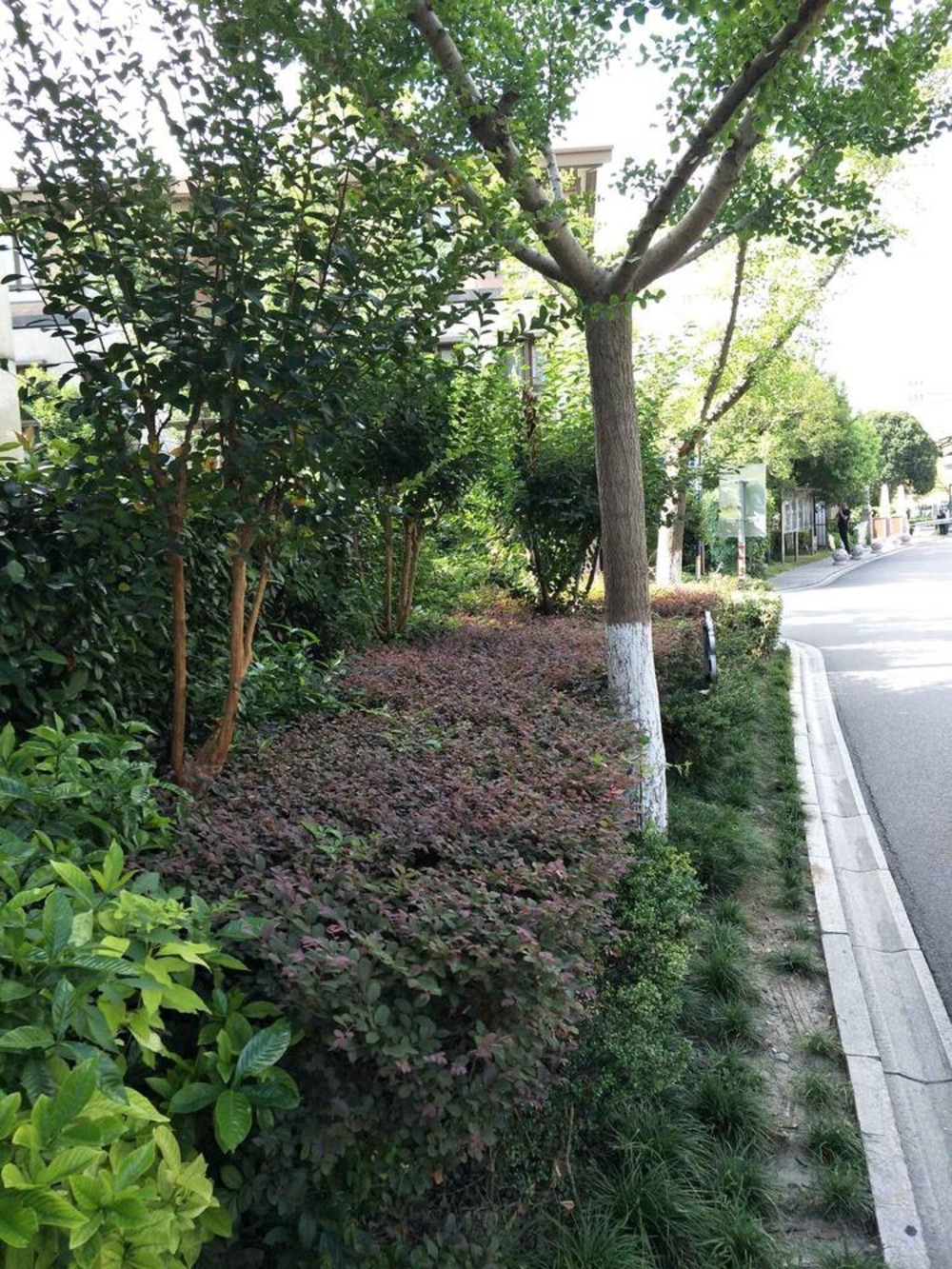 上海阳光花城(公寓住宅)二手房房源图片