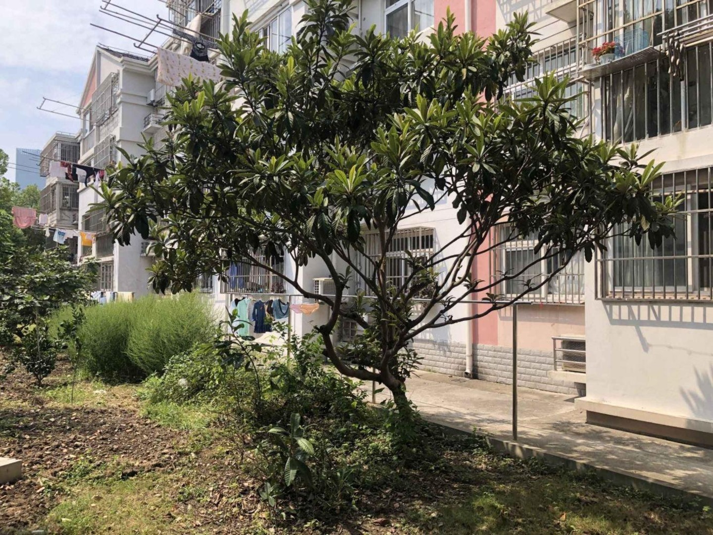 上海仓新小区(南区)二手房房源图片