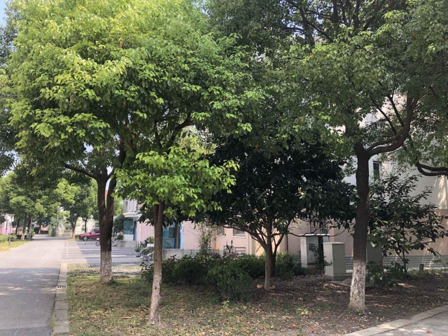 上海仓新小区(南区)二手房房源图片