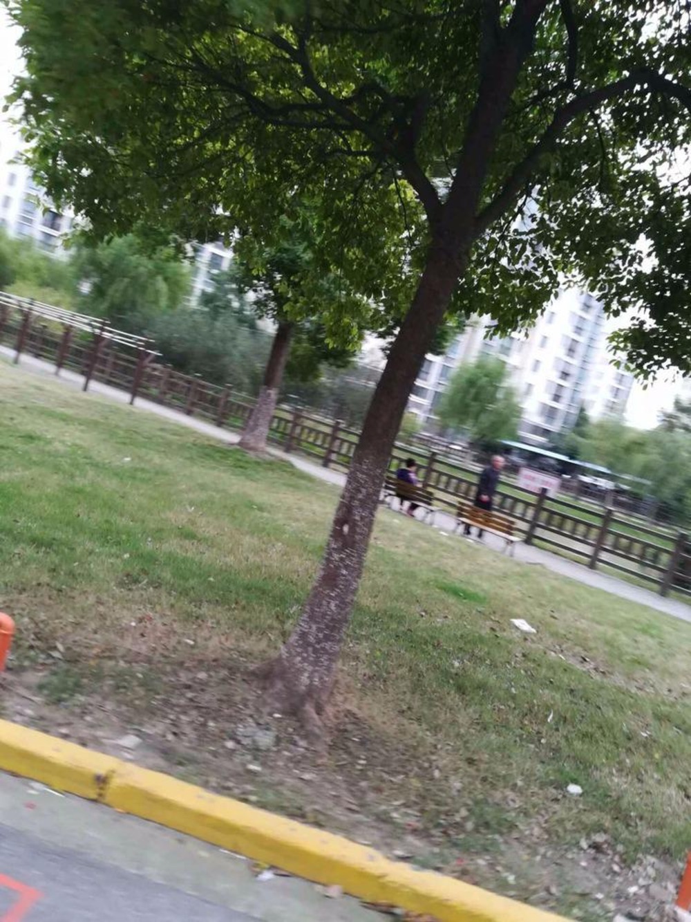 上海新高苑兰园二手房房源图片