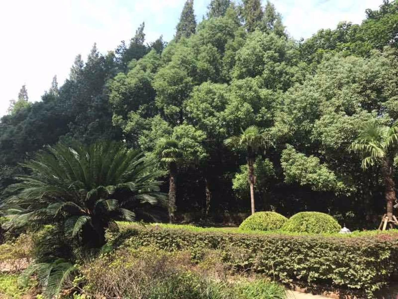 上海竞衡古北88大厦二手房房源图片
