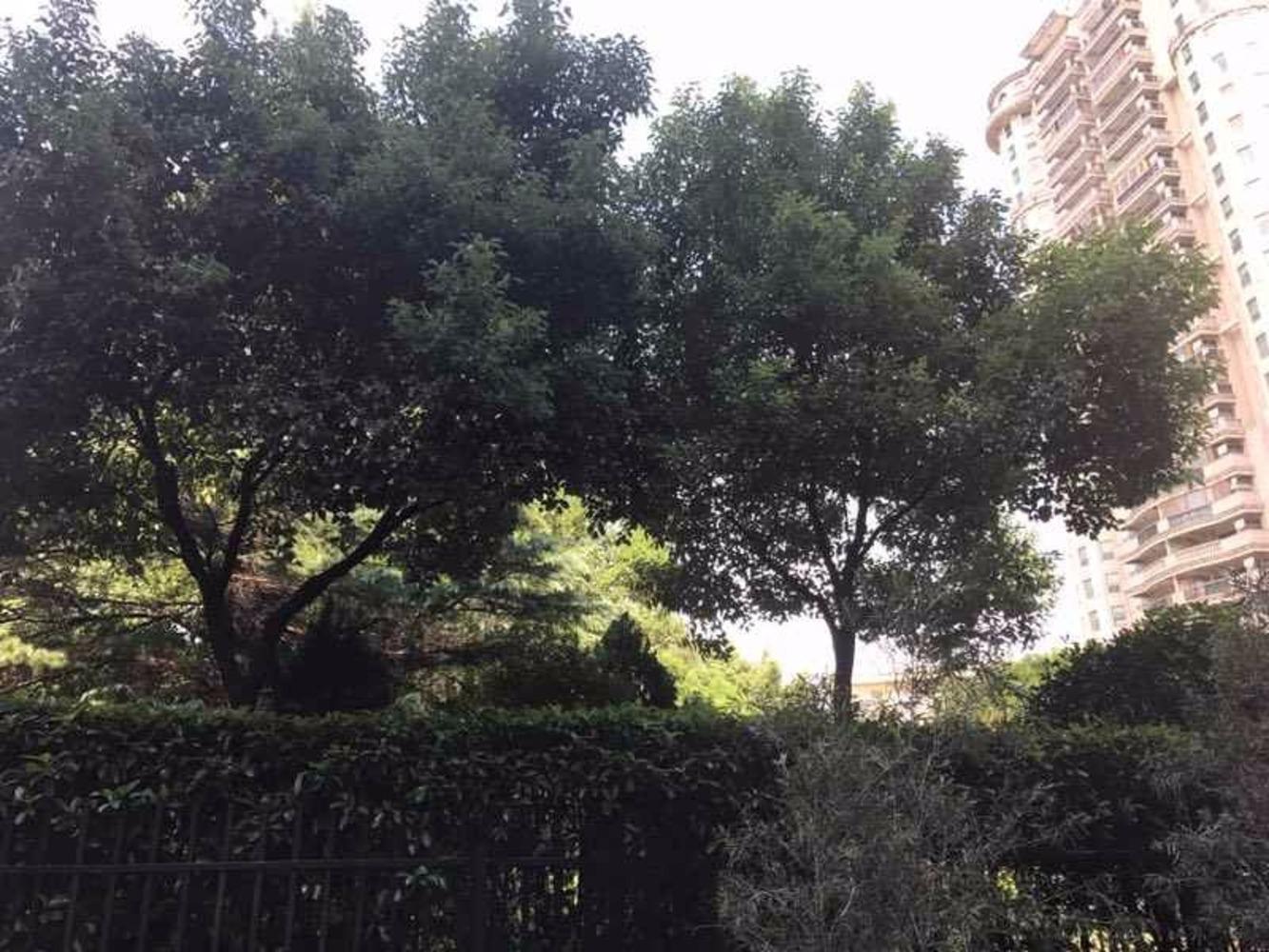 上海竞衡古北88大厦二手房房源图片