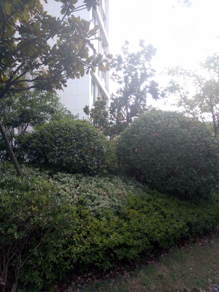 上海经纬弘汇地标家园二手房房源图片