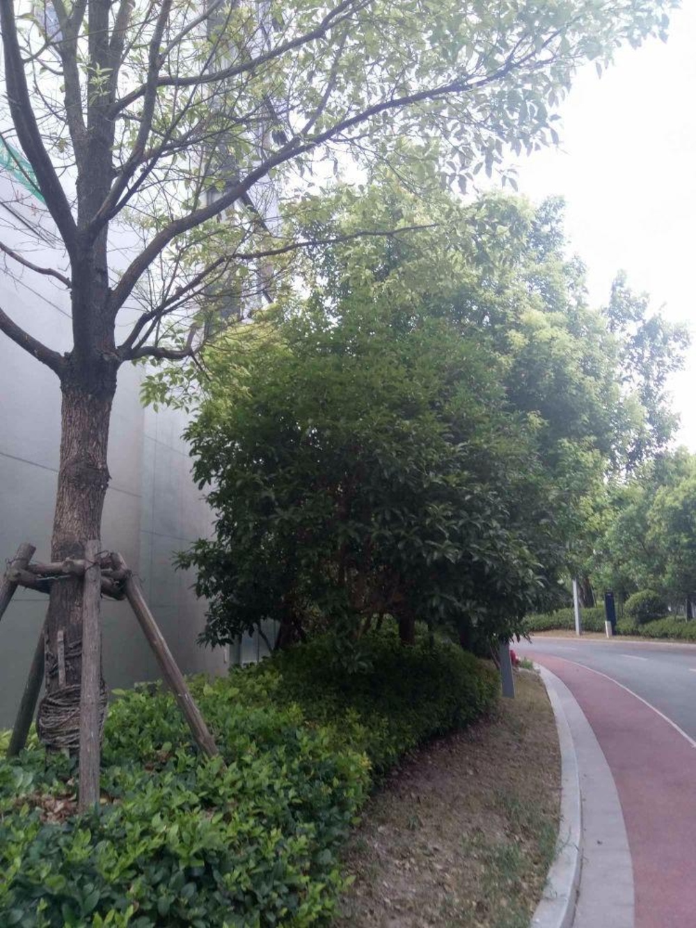 上海经纬弘汇地标家园二手房房源图片