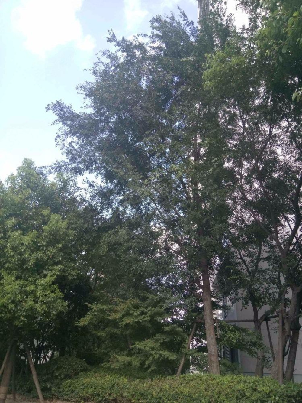 上海经纬弘汇地标家园二手房房源图片