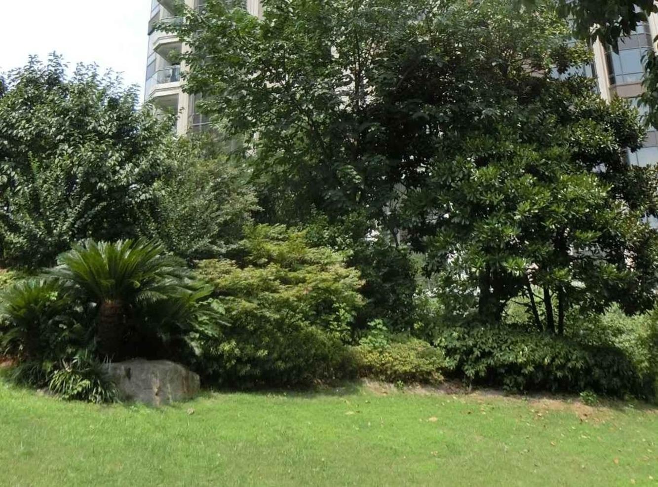 上海华山夏都苑二手房房源图片