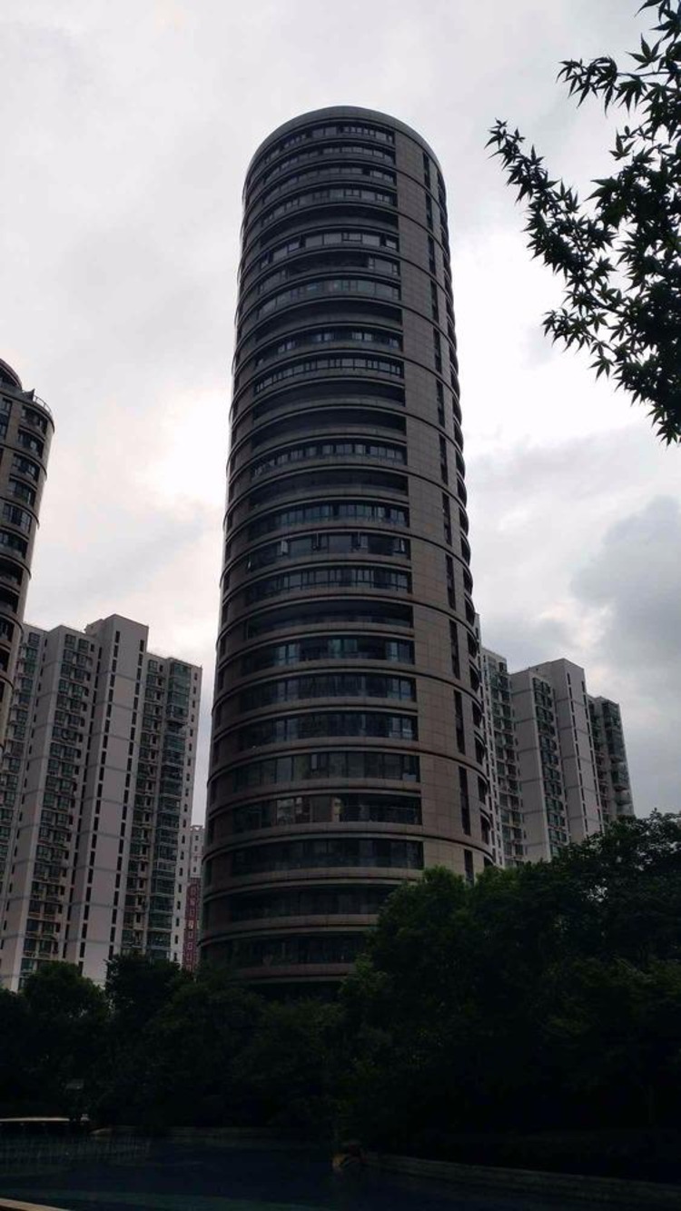 上海徐汇中凯城市之光名邸二手房房源图片